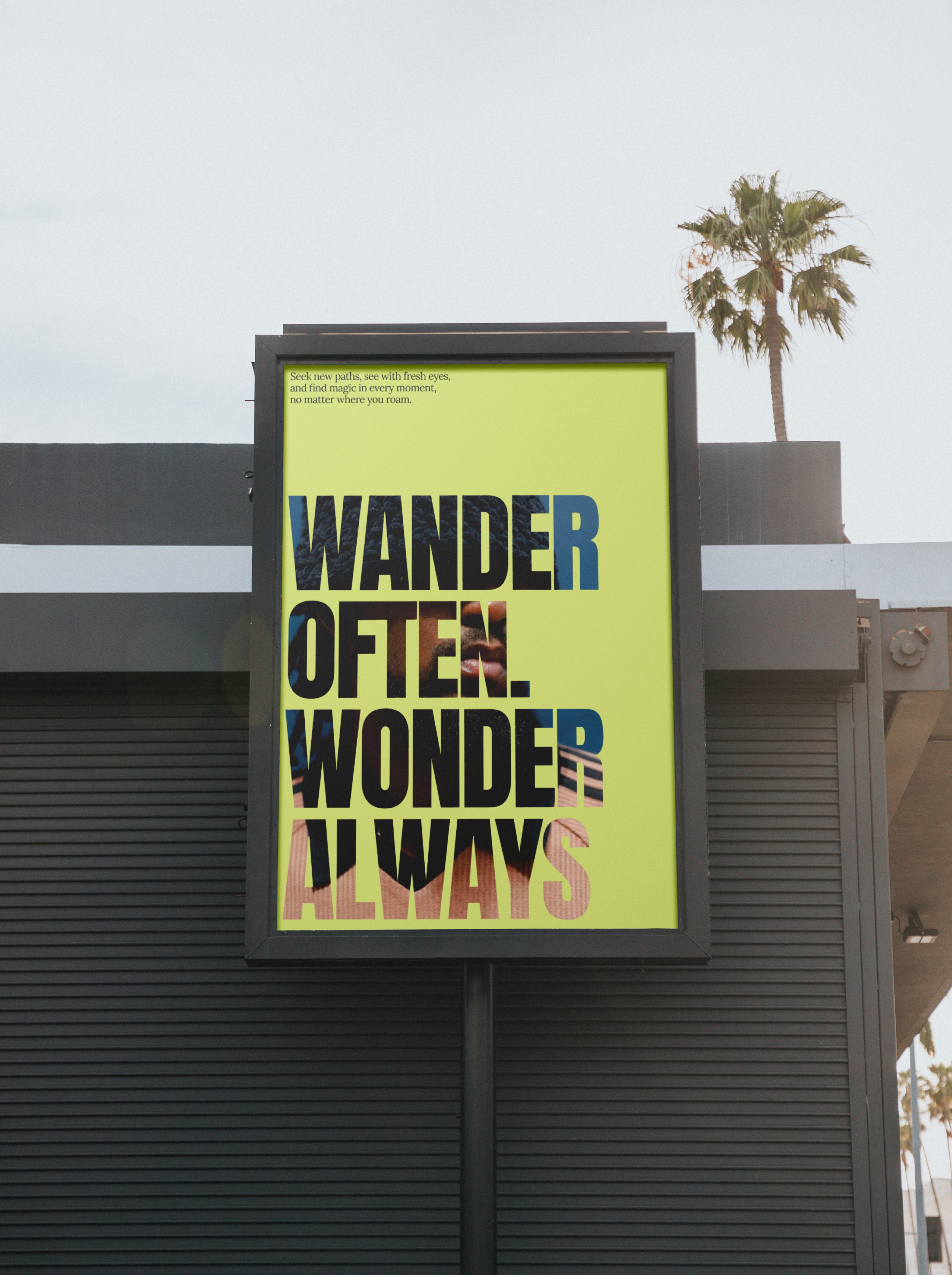 Life in Color Poster